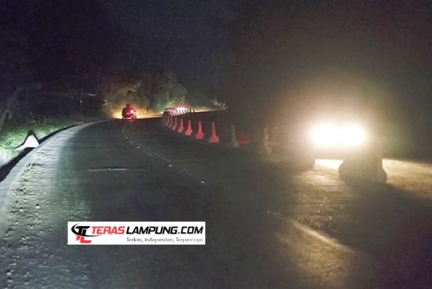 Satu Dasawarsa Tanpa Perbaikan: Kegelapan Jalinsum Lampung Masih Jadi Hantu bagi Para Pemudik