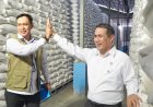 Pecahkan Rekor,  Stok Beras Bulog Tembus 5 Juta Ton