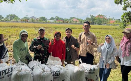 Jaga Ketahanan Pangan, BULOG Lampung Serap 369 Ribu Ton Gabah Petani