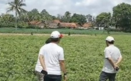 Ekonomi Lampung: Dari Hilirisasi Menuju Agro-Manufaktur 