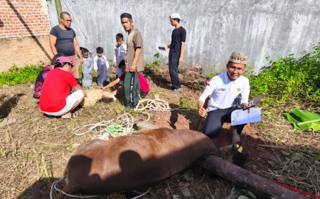Qurban PPTQ MSI Lampung 1447 H Perkuat Nilai Sakai Sambayan dan Kepedulian Sosial Masyarakat Lampung