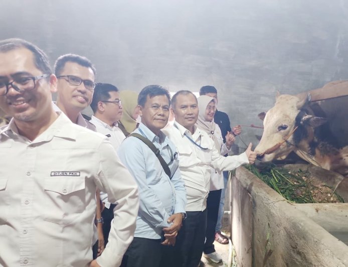 Sapi Kurban Presiden di Lampung Dipasok Peternak Lokal, Bobot Hingga 1,3 Ton