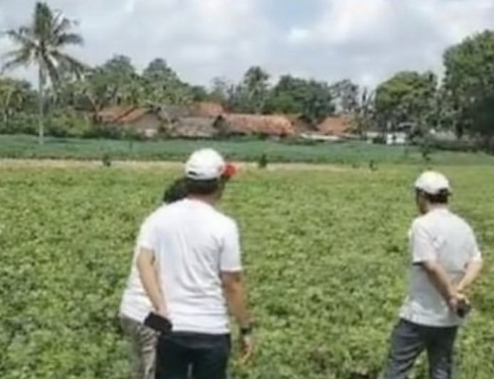 Ekonomi Lampung: Dari Hilirisasi Menuju Agro-Manufaktur 