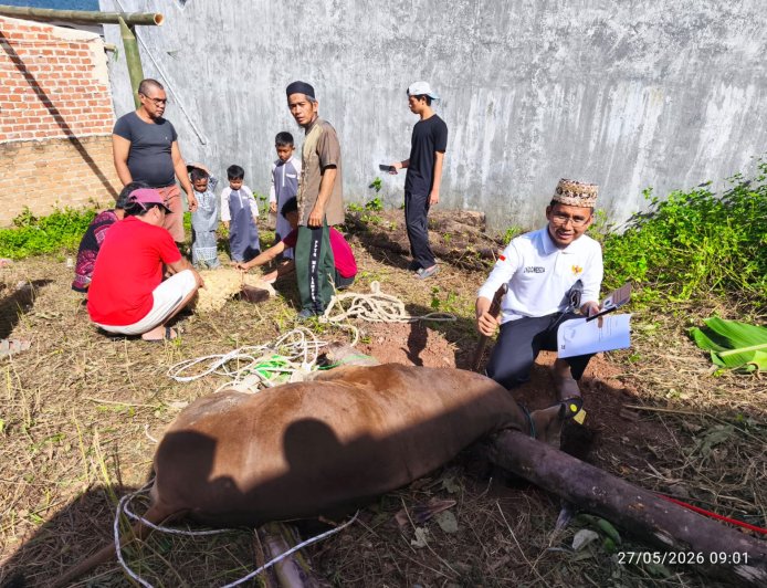 Qurban PPTQ MSI Lampung 1447 H Perkuat Nilai Sakai Sambayan dan Kepedulian Sosial Masyarakat Lampung