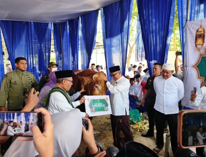 Gubernur Lampung Menerima Hewan Qurban Sapi Limousin dari Presiden Prabowo