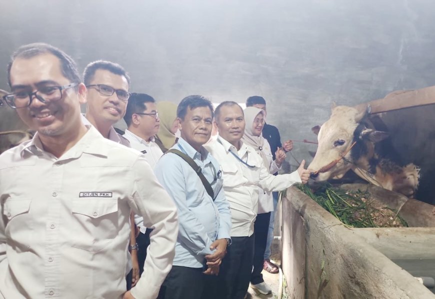 Sapi Kurban Presiden di Lampung Dipasok Peternak Lokal, Bobot Hingga 1,3 Ton