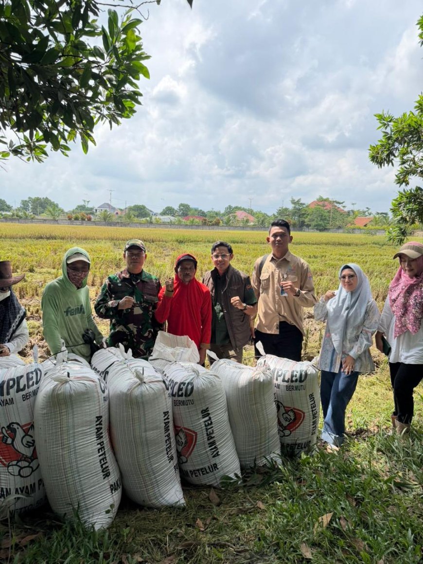 Jaga Ketahanan Pangan, BULOG Lampung Serap 369 Ribu Ton Gabah Petani