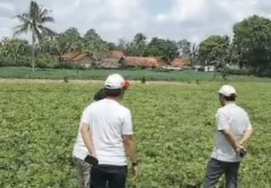 Ekonomi Lampung: Dari Hilirisasi Menuju Agro-Manufaktur 