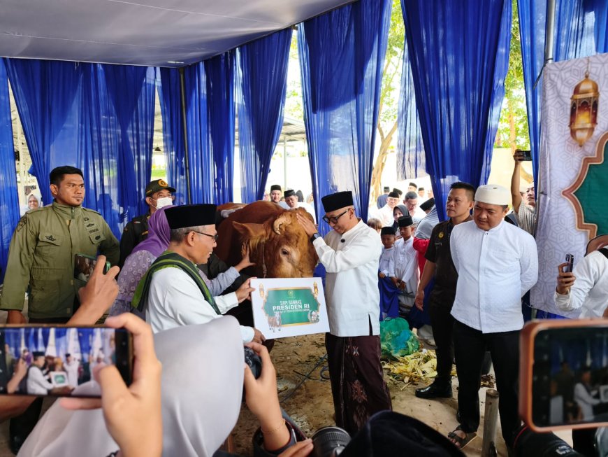 Gubernur Lampung Menerima Hewan Qurban Sapi Limousin dari Presiden Prabowo