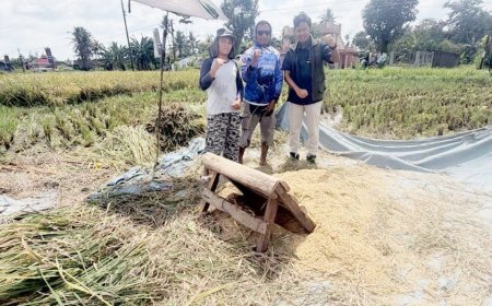 Serapan Beras Bulog Nasional Tembus 3 Juta Ton, Lampung Berkontribusi 202 Ribu Ton