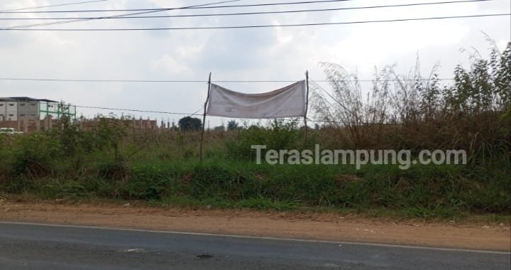 Penentuan Lokasi Sekolah Rakyat Lampung Utara Diduga Karena Hal Ini
