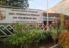 Ratusan Anak Lampung Utara Jadi Korban Kekerasan Seksual