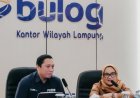 Bulog Bangun Unit Penggilingan Padi di Lampung Timur, Kapasitas Olah Capai 120 Ton Gabah