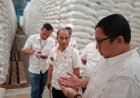 Bulog Lampung Siapkan Stok 301 Ribu Ton Beras untuk Program Bantuan Pangan Tambahan