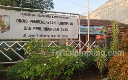 Ratusan Anak Lampung Utara Jadi Korban Kekerasan Seksual