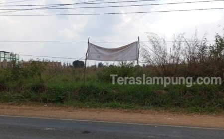 Rp4,3 Miliar untuk 6,3 Hektare Lahan Sekolah Rakyat, Pemkab Lampura: Saya Enggak Tahu Wajar atau Tidak