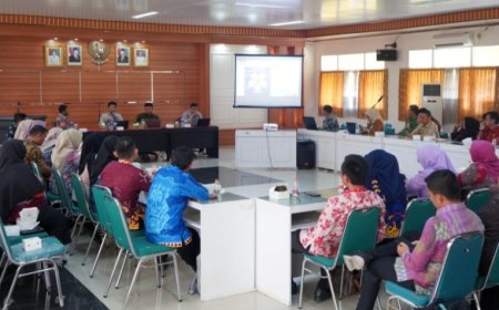 Pemkab Lampung Selatan Perkuat Sistem Merit ASN, Ikuti 'Coaching Clinic' Kementerian PANRB