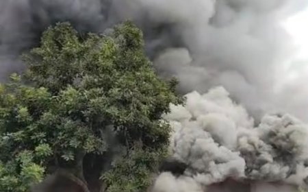 Kebakaran PT BSA Dinilai Jadi Alarm Kegagalan Negara Selesaikan Konflik Agraria Anak Tuha Lampung Tengah