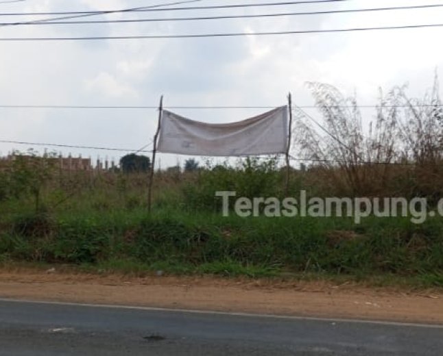 Rp4,3 Miliar untuk 6,3 Hektare Lahan Sekolah Rakyat, Pemkab Lampura: Saya Enggak Tahu Wajar atau Tidak