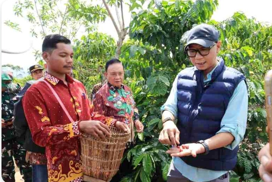 Pemprov Lampung Uji Pupuk Hayati Cair untuk Percepat Produksi Kopi
