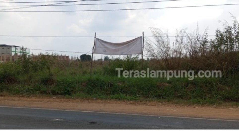 Soal Potensi Polusi Udara di Sekolah Rakyat, Dinas Lingkungan Hidup Lampung Utara Tunggu Dokumen Lingkungan