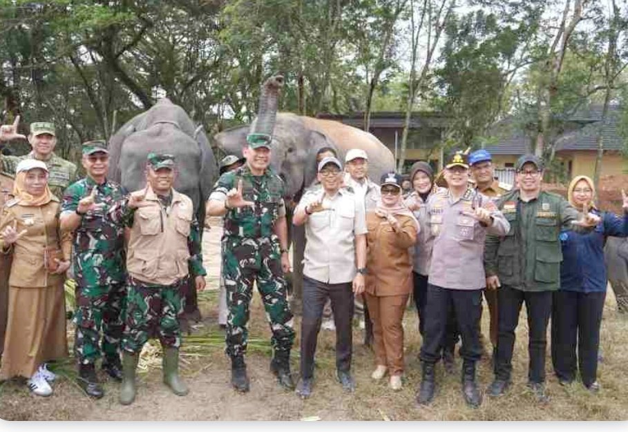 Pemprov Lampung Perkuat Mitigasi Kebakaran dan Konflik Gajah di Way Kambas