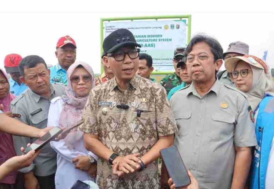 Panen Padi PM-AAS di Lampung Tembus 11,4 Ton per Hektare