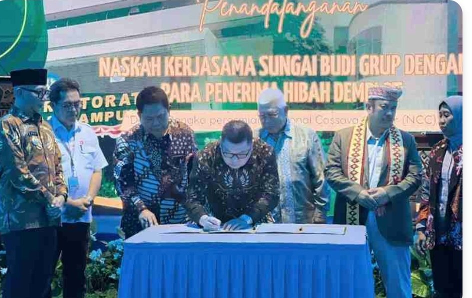 Lampung Bangun Pusat Riset Singkong, Bidik Peningkatan Produktivitas Petani