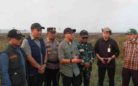 Kebakaran di Dekat TN Way Kambas, Gubernur Lampung Pantau Pergerakan Api