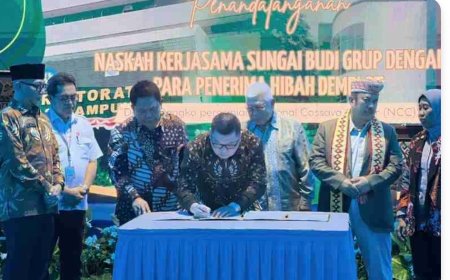 Lampung Bangun Pusat Riset Singkong, Bidik Peningkatan Produktivitas Petani