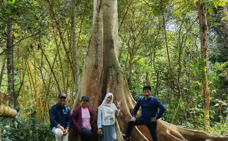 Sayap yang tak Pernah Dihitung, Cerita tentang Taman Kupu-Kupu Gita Persada