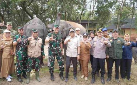 Pemprov Lampung Perkuat Mitigasi Kebakaran dan Konflik Gajah di Way Kambas