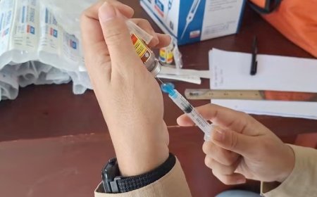 Distan Bandarlampung Sediakan 1.500 Dosis Vaksin Rabies Gratis, Ini Jadwal dan Lokasinya
