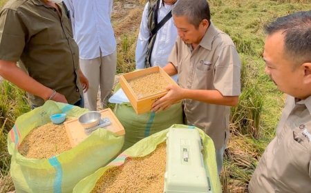 Pengadaan Pangan Bulog Lampung Naik 19,13 Persen, Sumbang 6 Persen Capaian Nasional