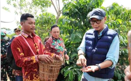 Pemprov Lampung Uji Pupuk Hayati Cair untuk Percepat Produksi Kopi