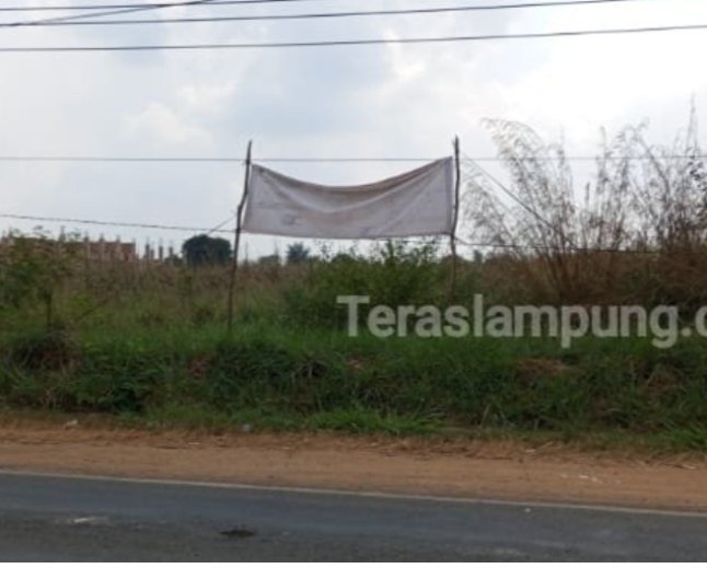 Soal Potensi Polusi Udara di Sekolah Rakyat, Dinas Lingkungan Hidup Lampung Utara Tunggu Dokumen Lingkungan