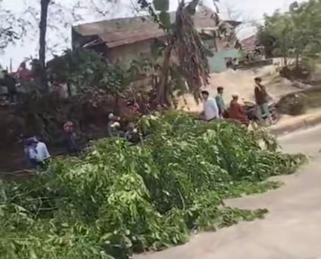 BPBD Bandarlampung Evakuasi Pohon Tumbang di Rajabasa