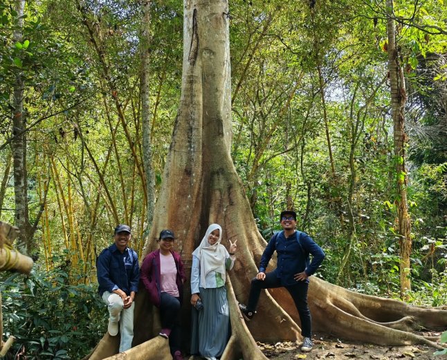 Sayap yang tak Pernah Dihitung, Cerita tentang Taman Kupu-Kupu Gita Persada
