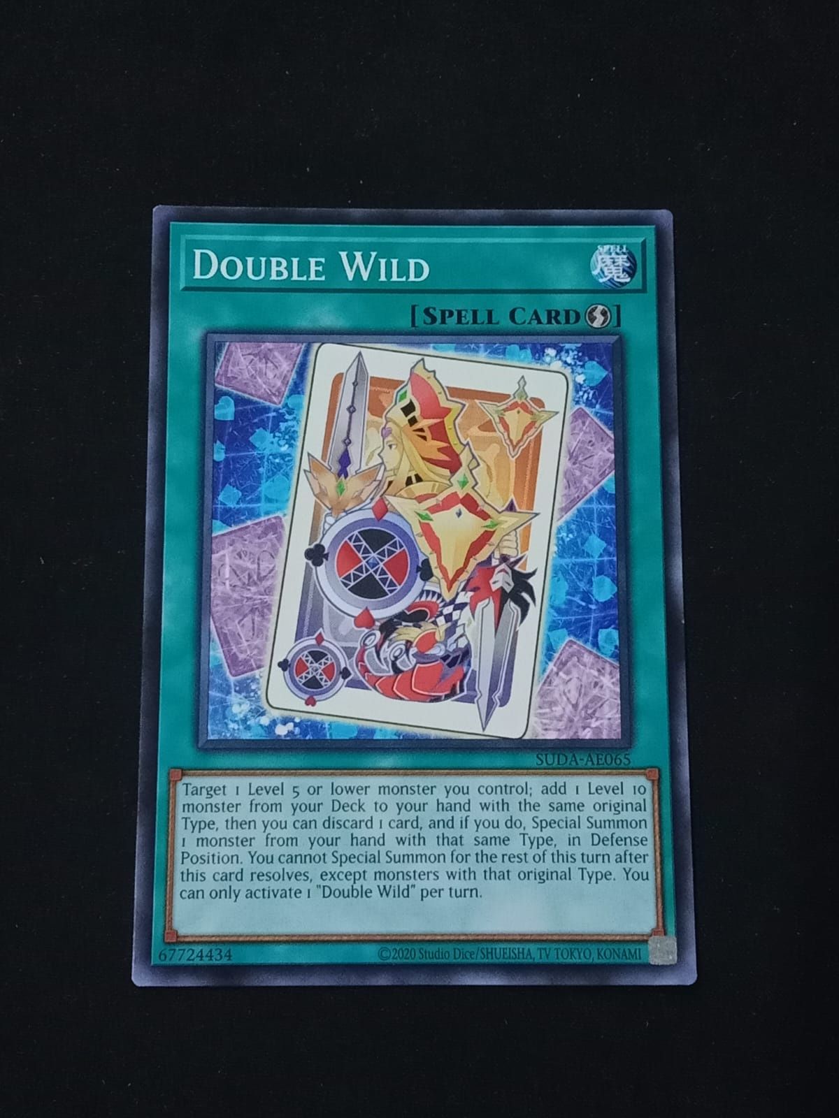 SUDA-AE065 Double Wild Common