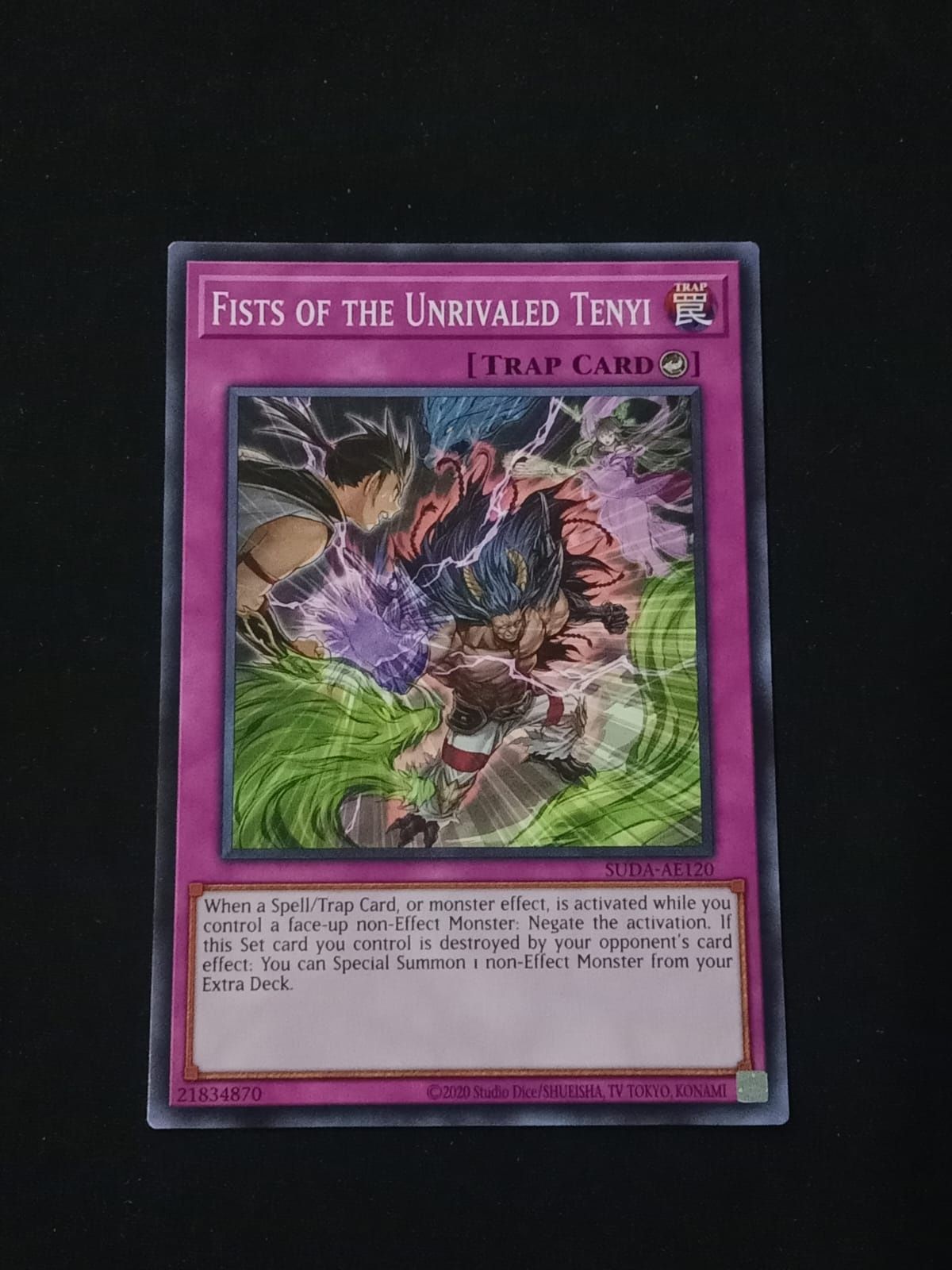 SUDA-AE120 Fists of the Unrivaled Tenyi Common