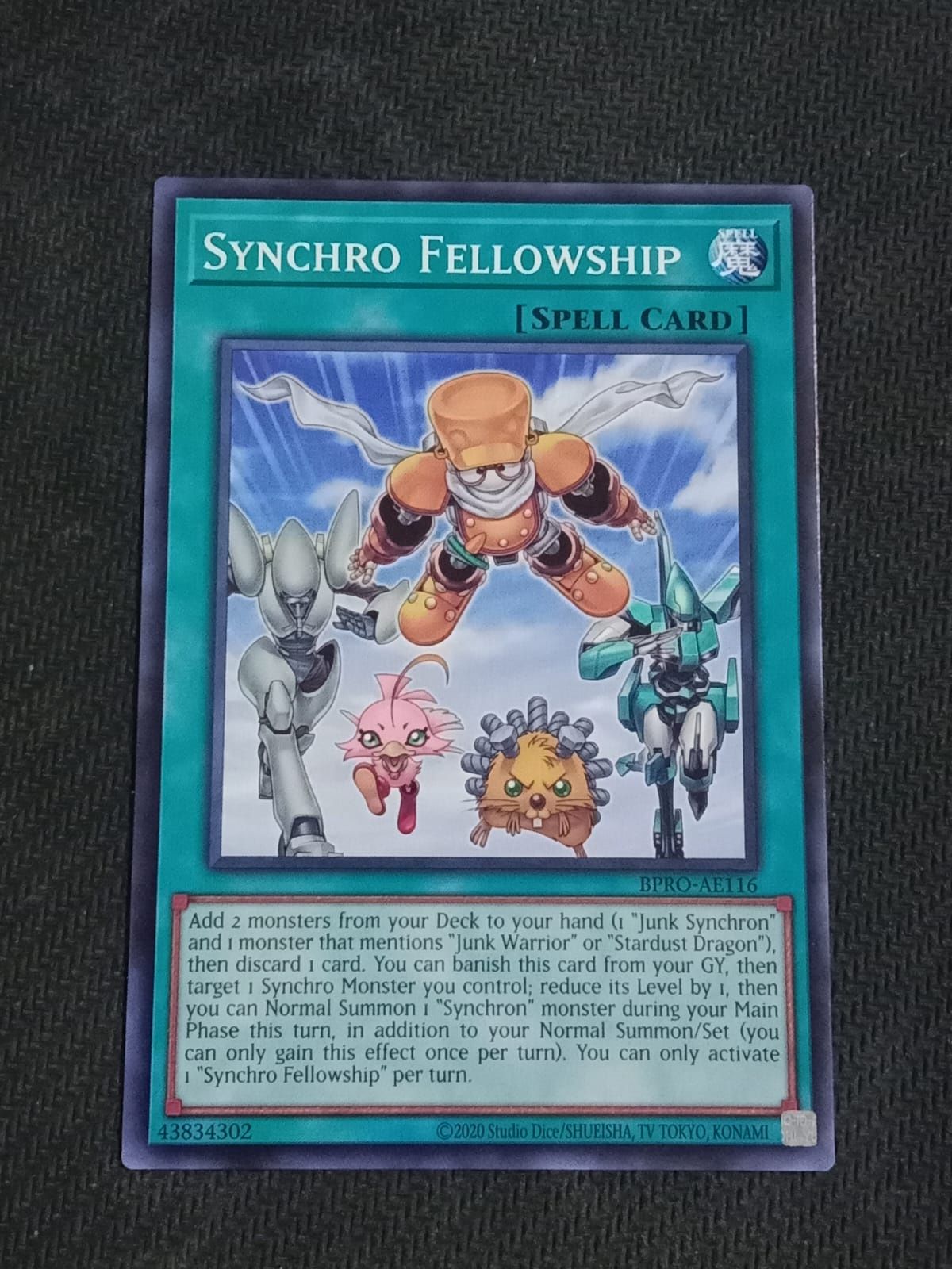 BPRO-AE116 Synchro Fellowship Common