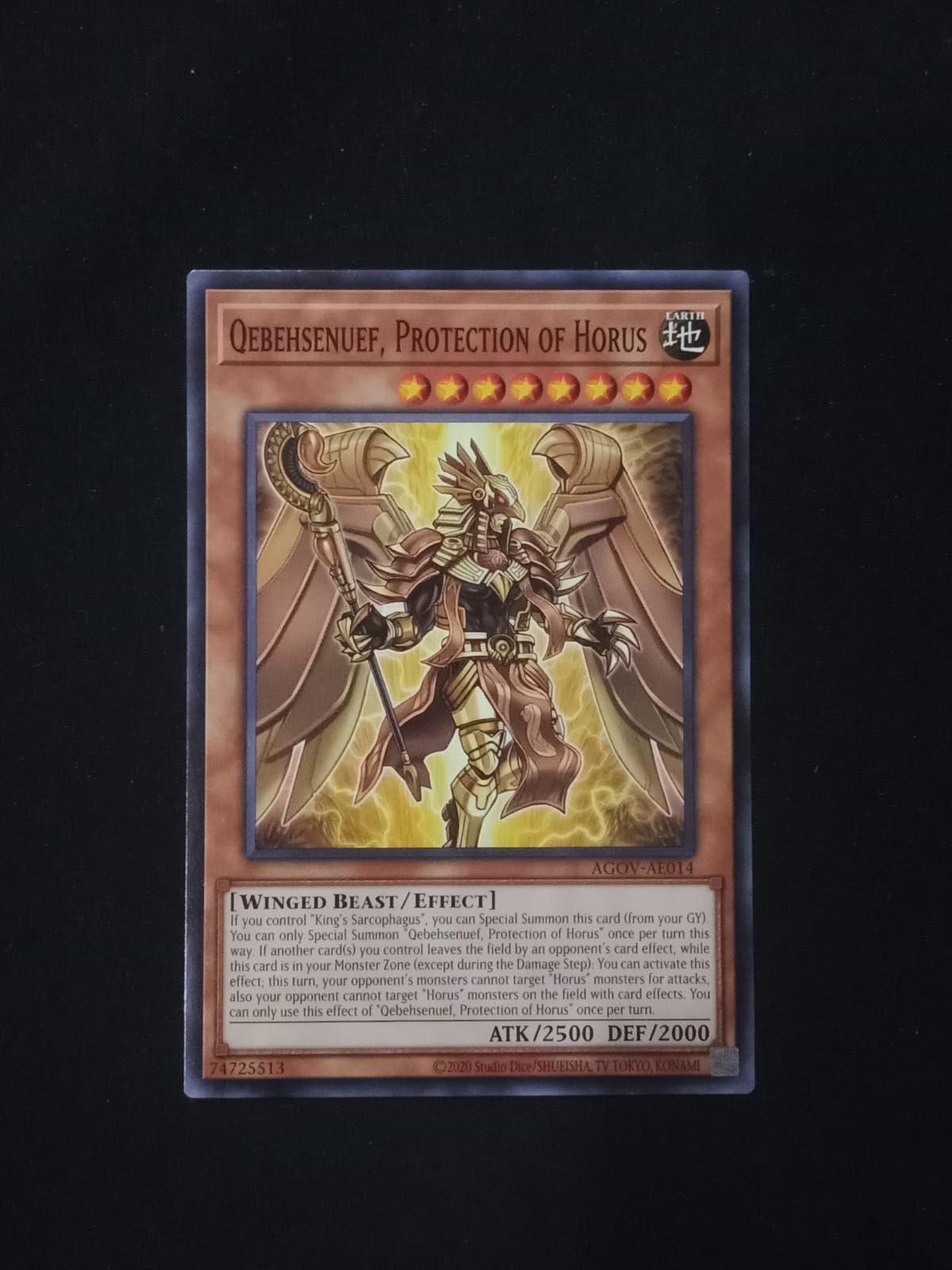 AGOV-AE014 Qebehsenuef, Protection of Horus Common