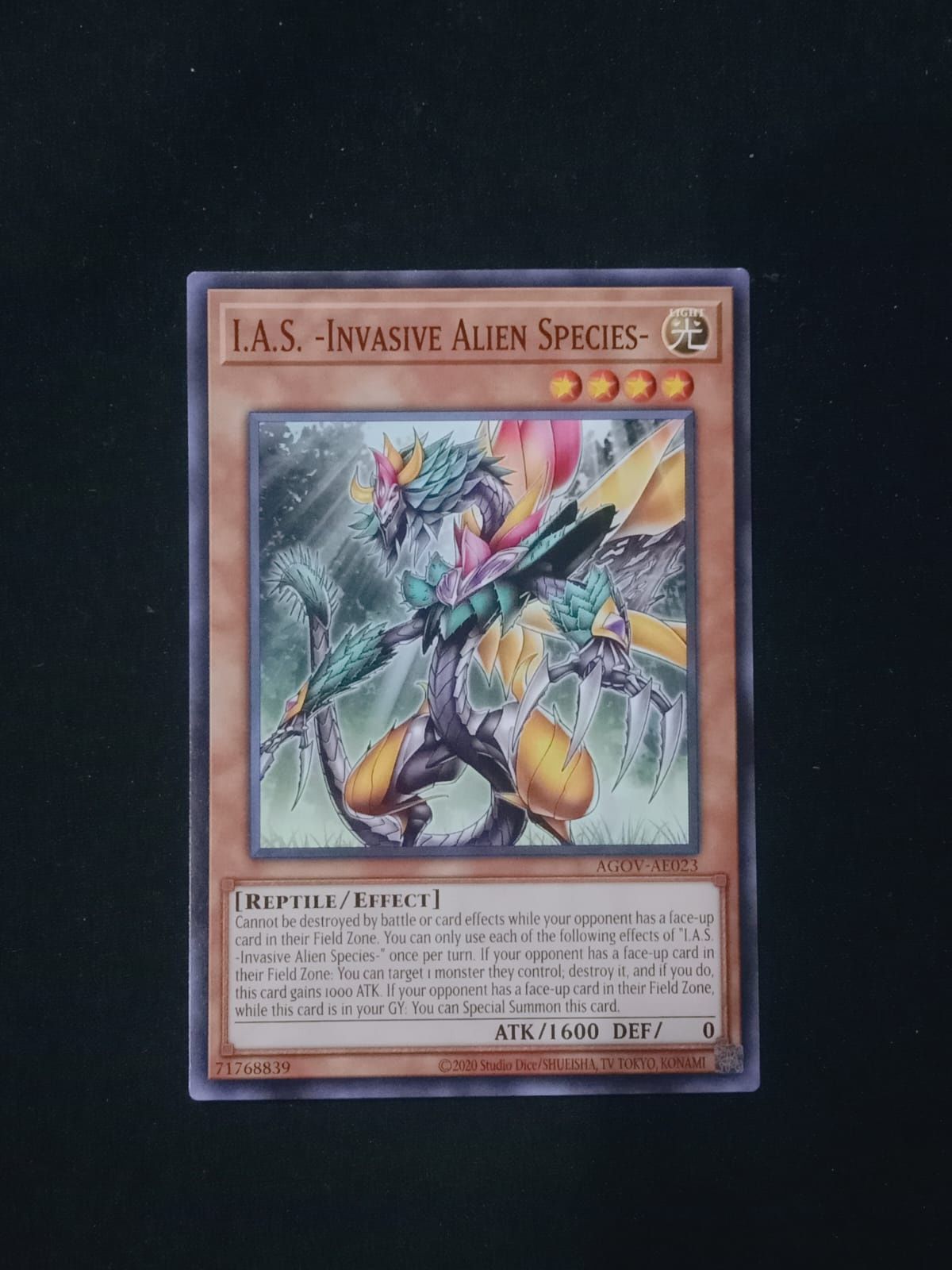 AGOV-AE023 I.A.S. -Invasive Alien Species- Common
