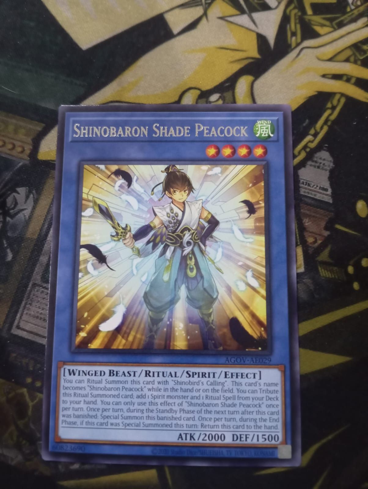 AGOV-AE029 Shinobaron Shade Peacock Rare