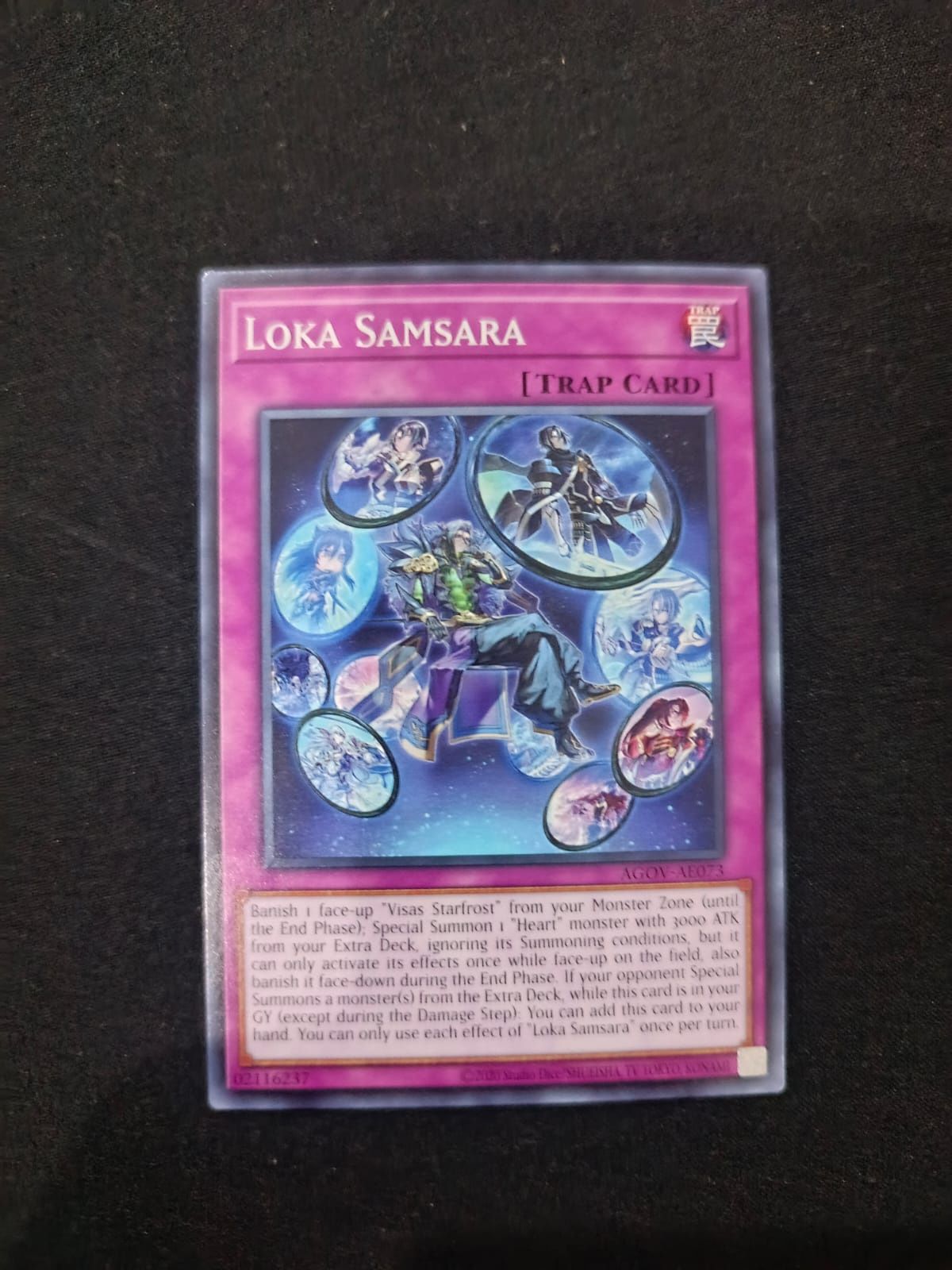 AGOV-AE073 Loka Samsara Common