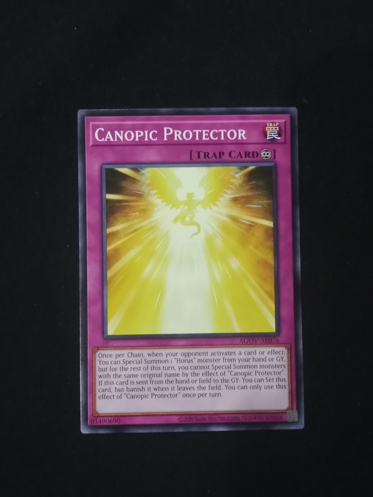 AGOV-AE076 Canopic Protector Common