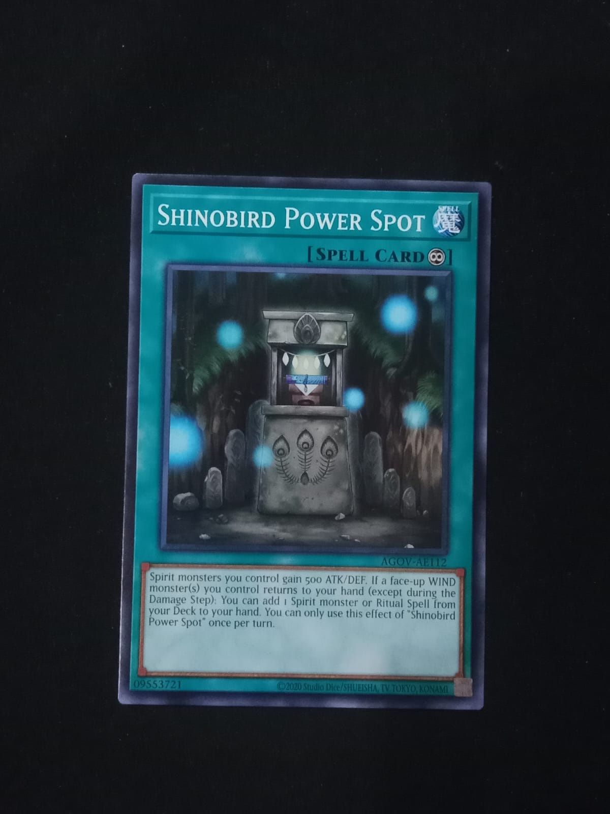 AGOV-AE112 Shinobird Power Spot Common