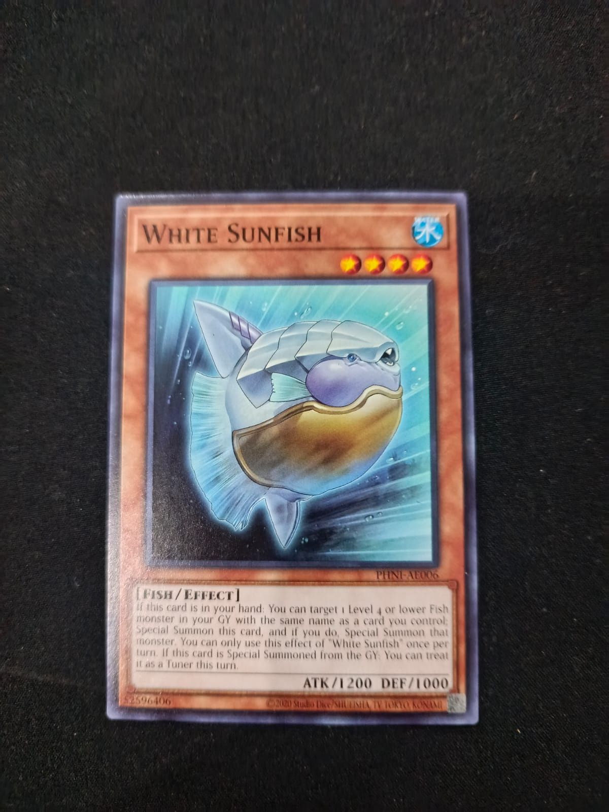 PHNI-AE006 White Sunfish Common