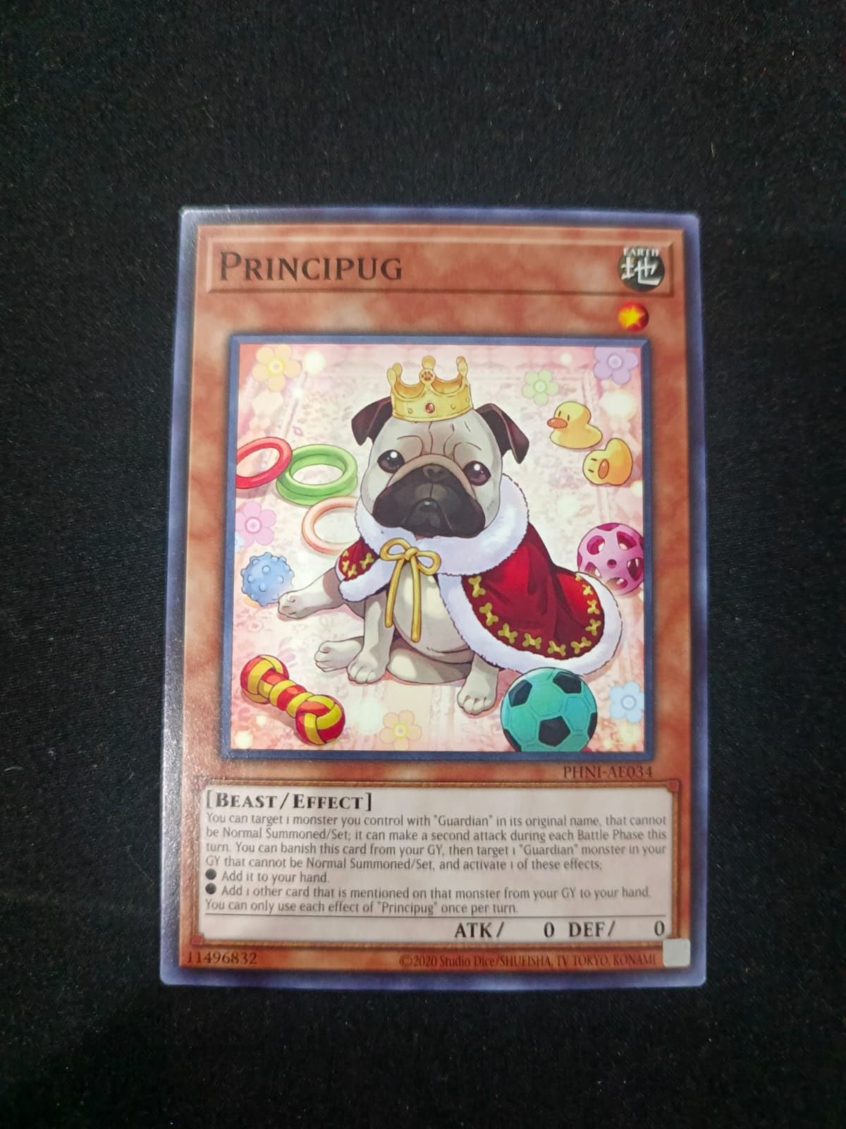 PHNI-AE034 Principug Common