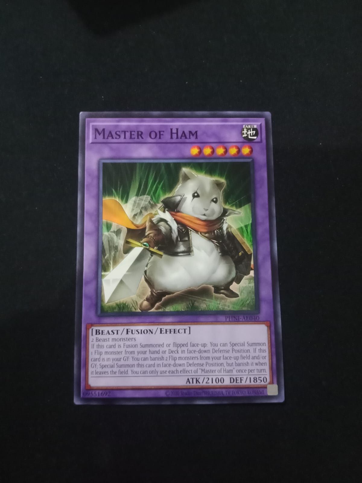 PHNI-AE040 Master of Ham Common